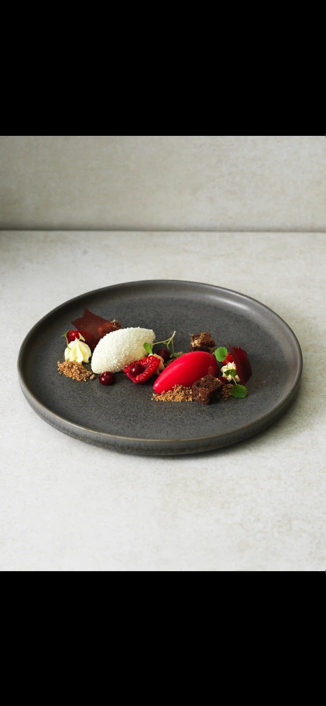 Dish 3 .PNG Dish 3 .PNG