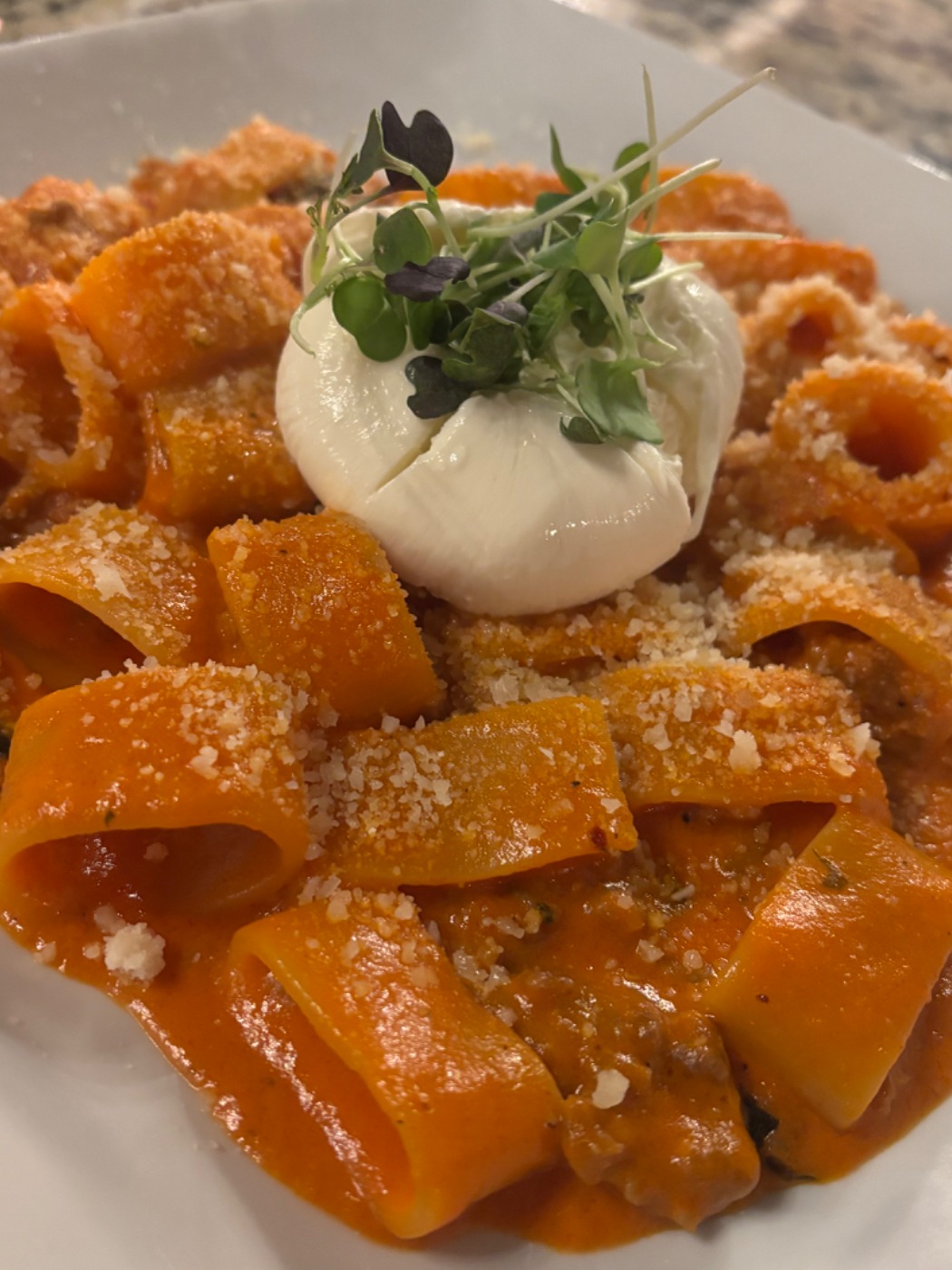 IMG_2509.jpeg IMG_2509.jpeg