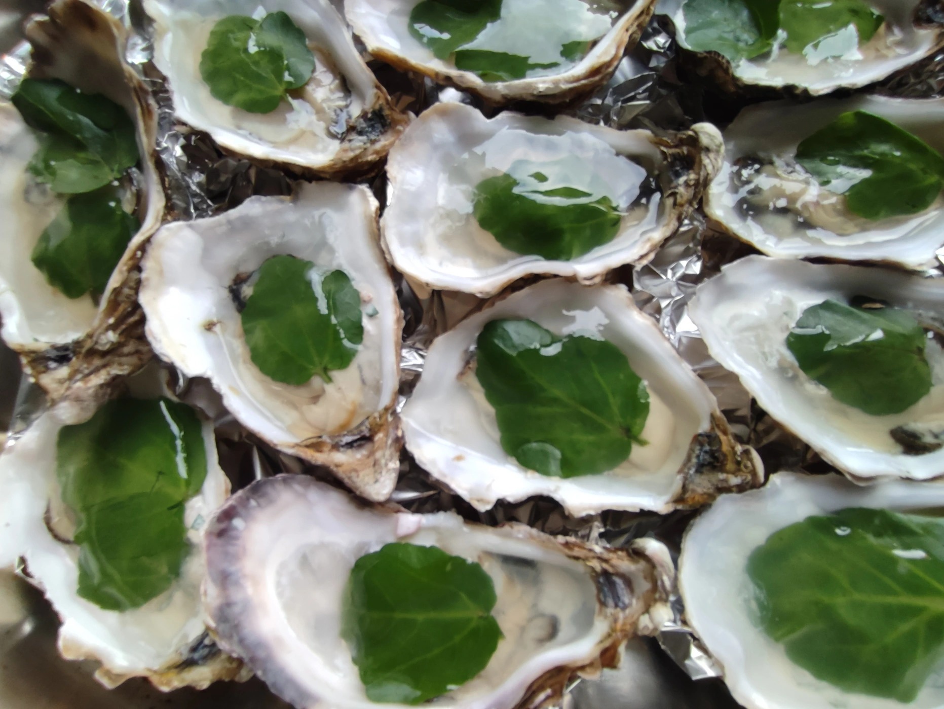 Huitres en gelée d'eau de mer.jpg Huitres en gelée d'eau de mer.jpg