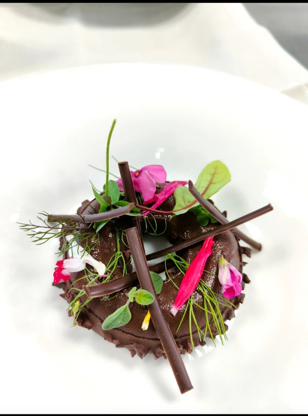 PSX_20241202_135545.jpg PSX_20241202_135545.jpg