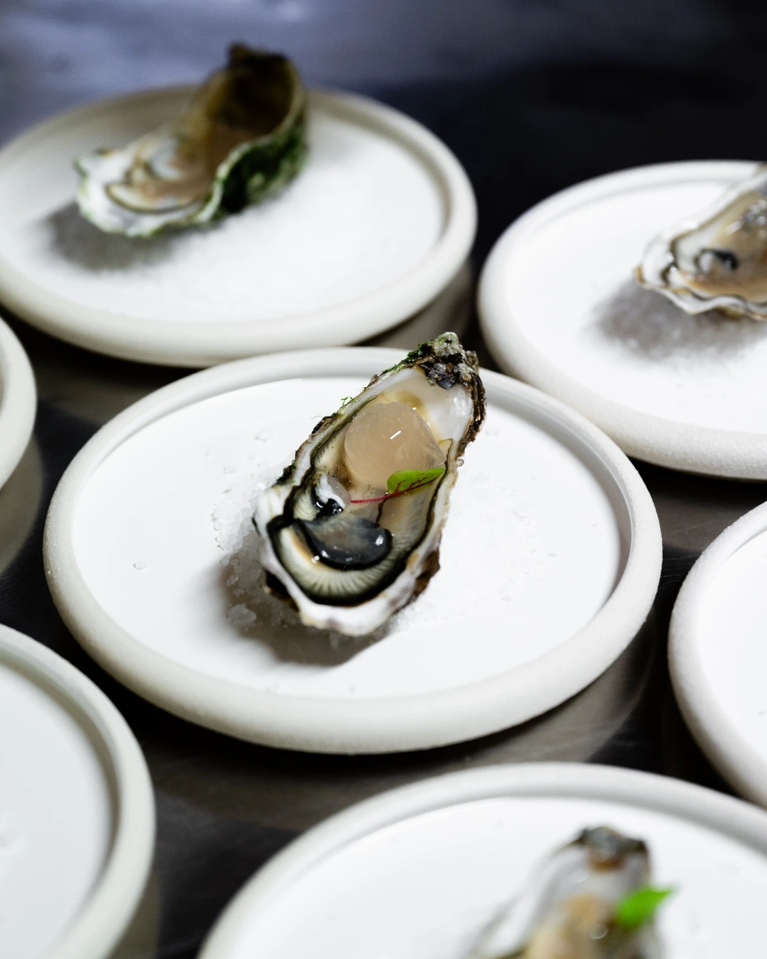 DSC_2651.jpg DSC_2651.jpg