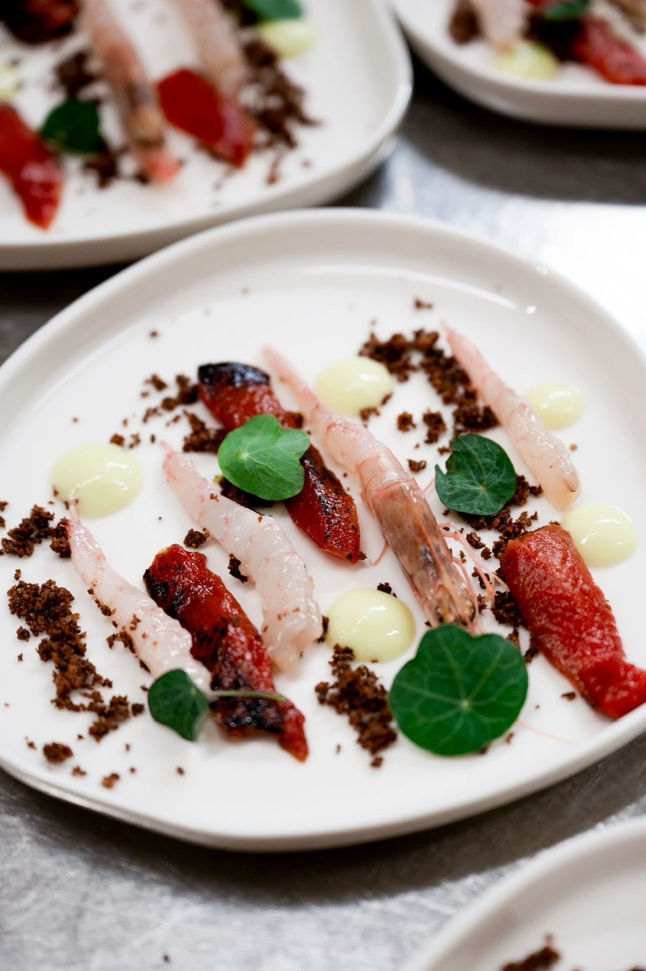 WhatsApp Image 2025-01-20 at 15.58.00 (2).jpeg WhatsApp Image 2025-01-20 at 15.58.00 (2).jpeg