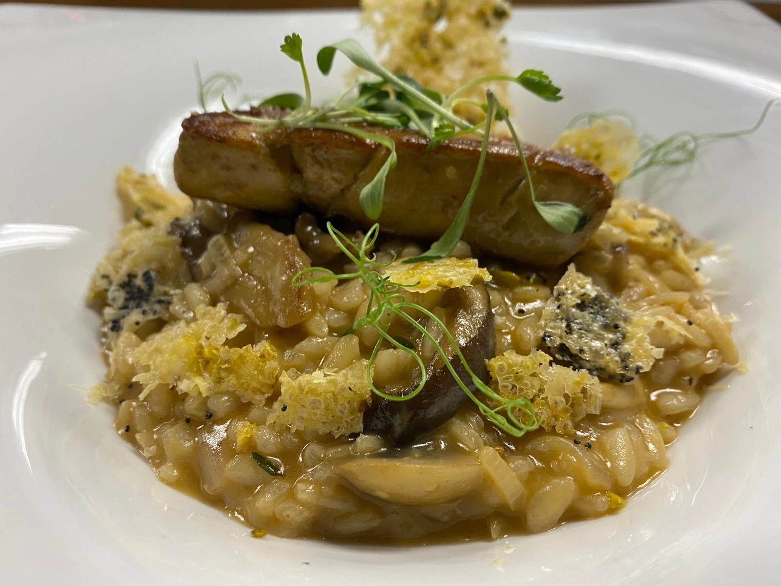 Risotto de cogumelos com foie gras.jpg