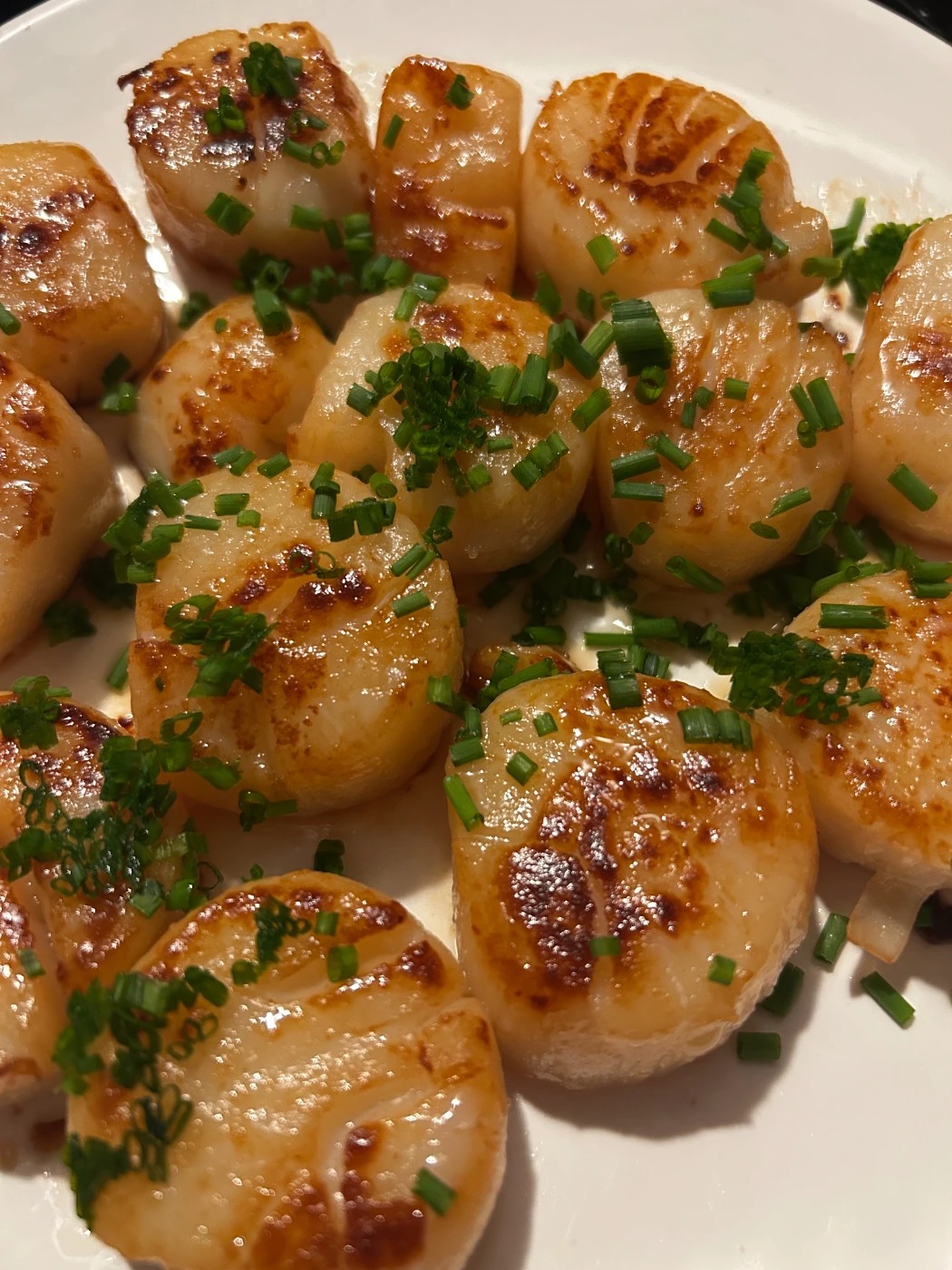 scallops.jpg