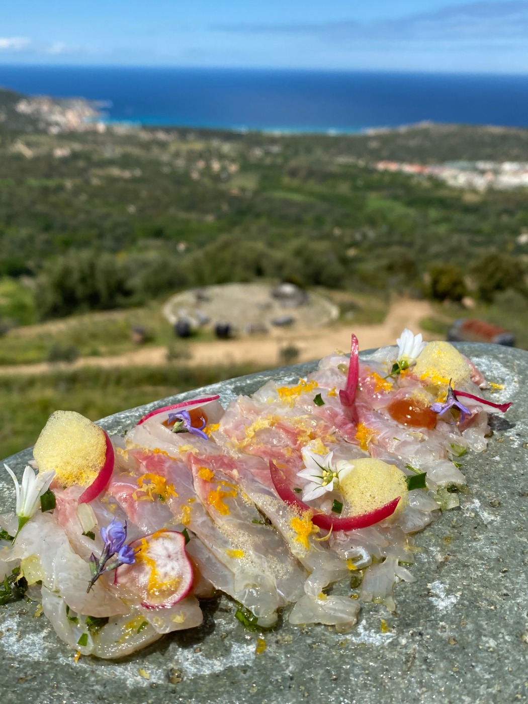 Carpaccio de Daurade.jpeg Carpaccio de Daurade.jpeg