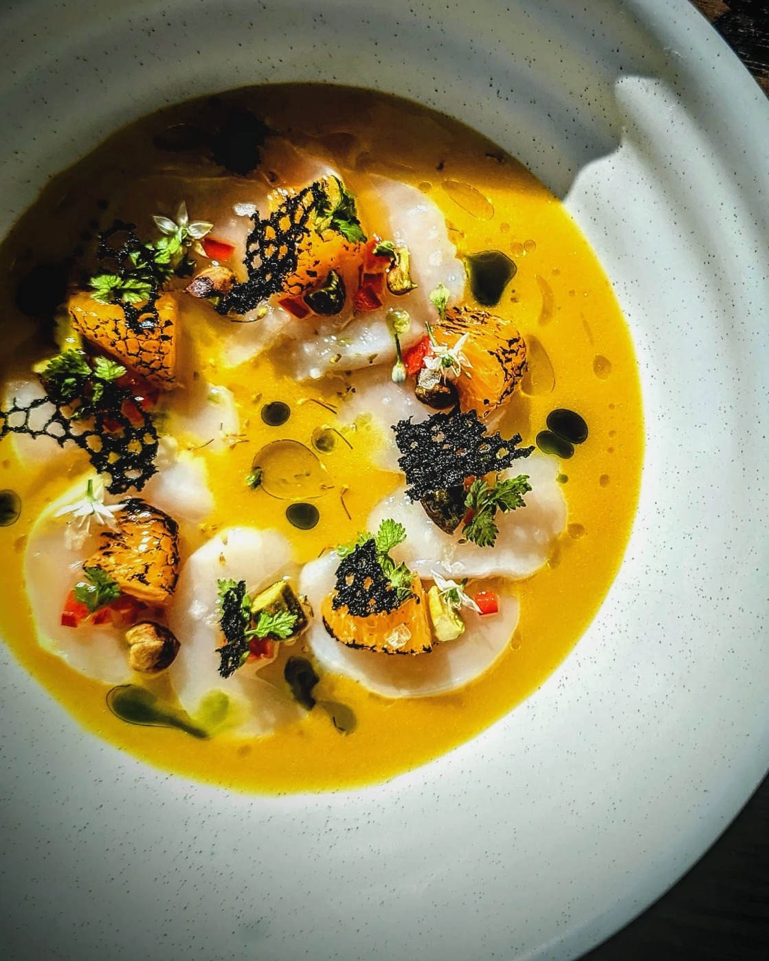 IMG_20230914_164234_472.jpg IMG_20230914_164234_472.jpg