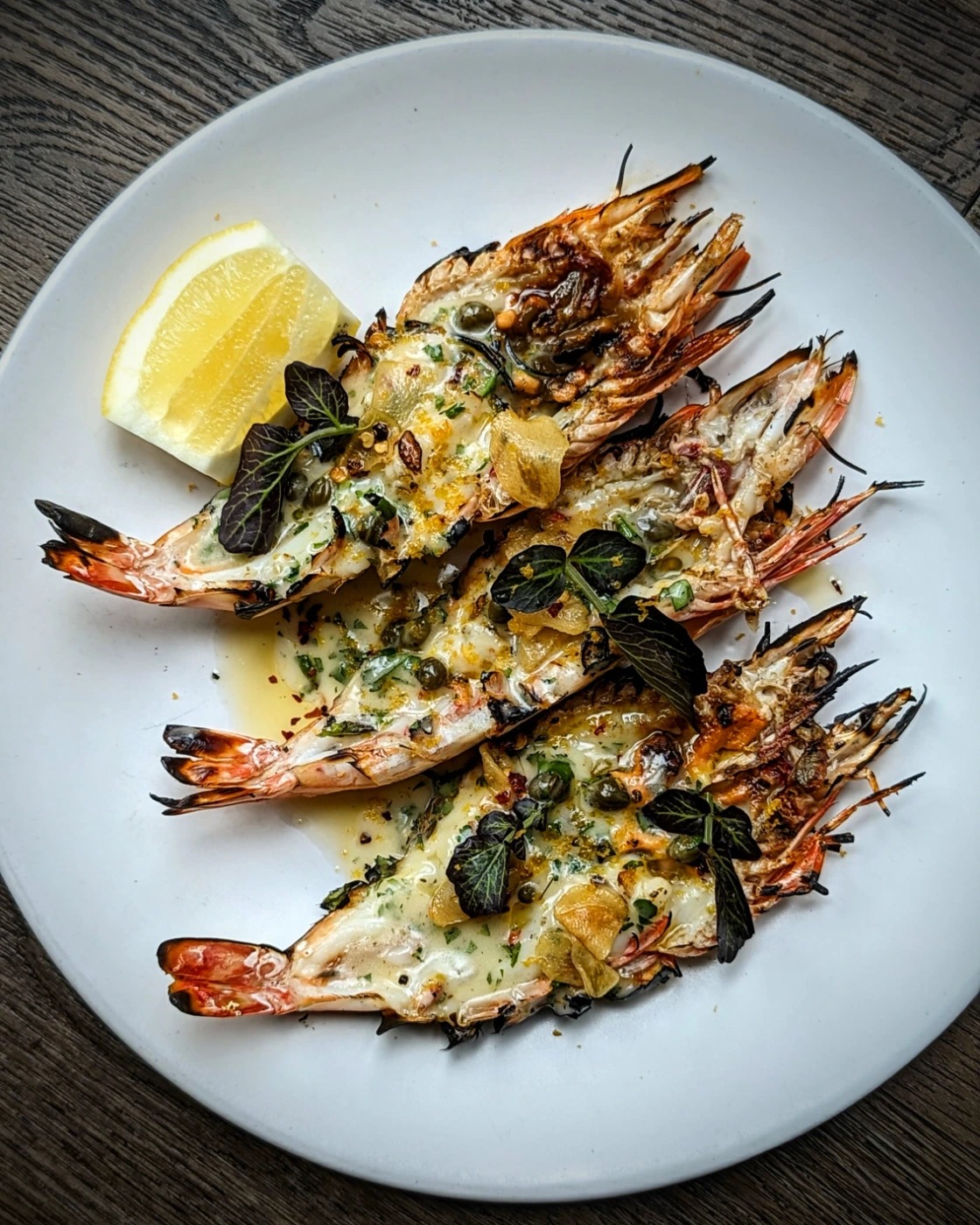 IMG_20240222_162325_862.jpg IMG_20240222_162325_862.jpg