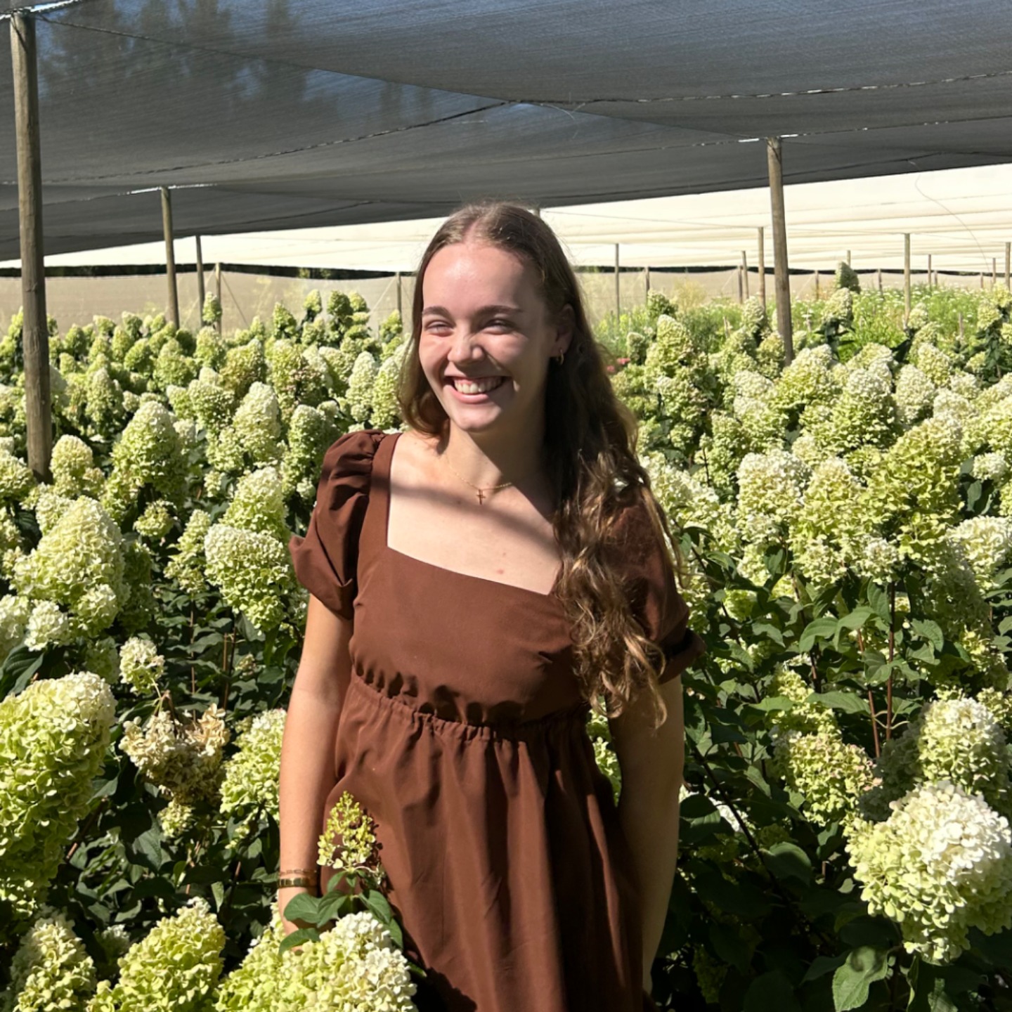 Photo from chef Amone Wessels