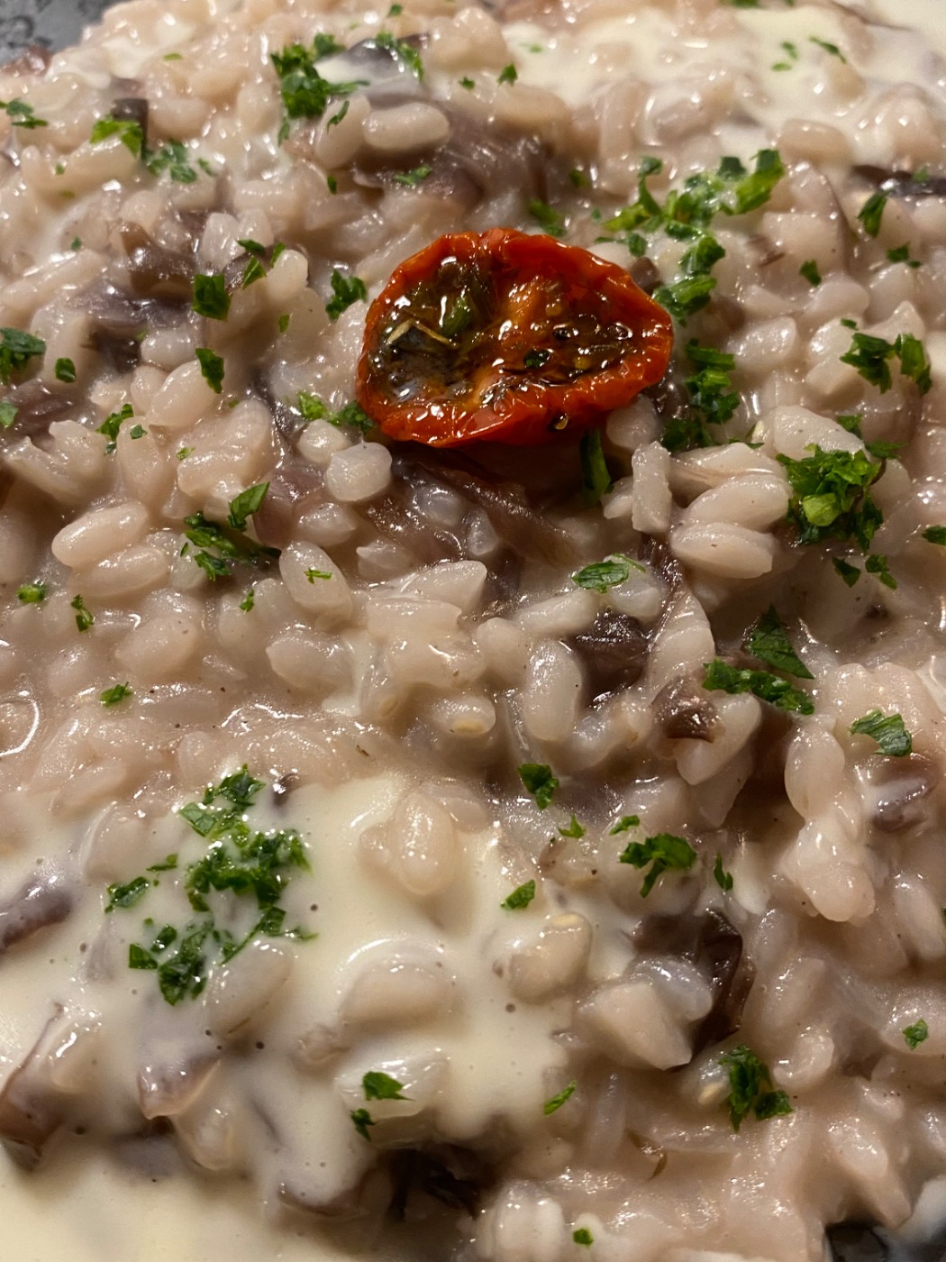 IMG_5318.jpeg IMG_5318.jpeg