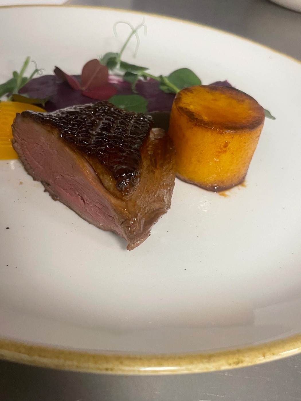 IMG_4845.jpeg IMG_4845.jpeg