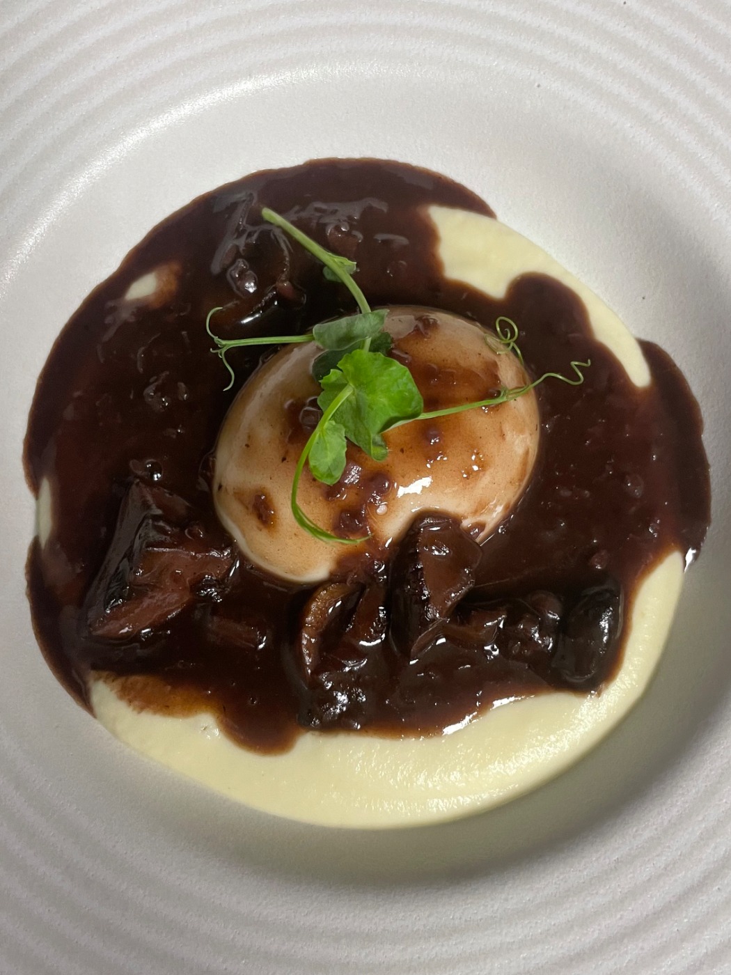 IMG_5061.jpeg IMG_5061.jpeg