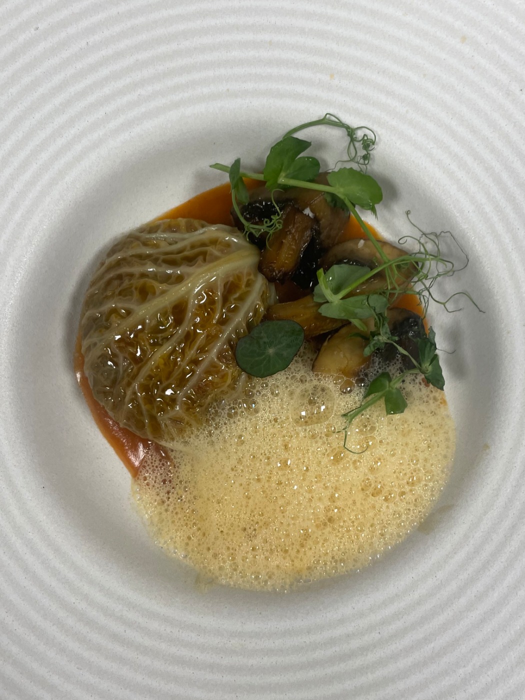 IMG_5049.jpeg IMG_5049.jpeg