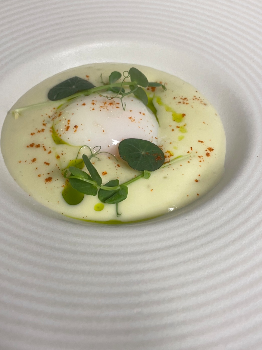 IMG_4964.jpeg IMG_4964.jpeg