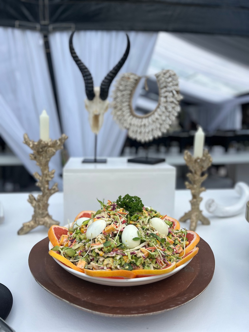 IMG_9226.jpeg IMG_9226.jpeg