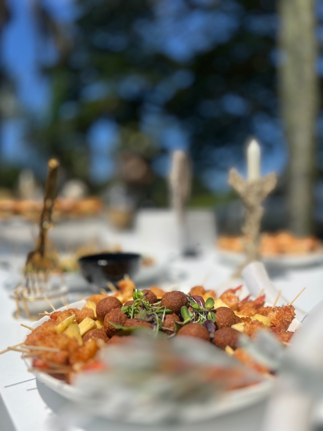 IMG_9121.jpeg IMG_9121.jpeg