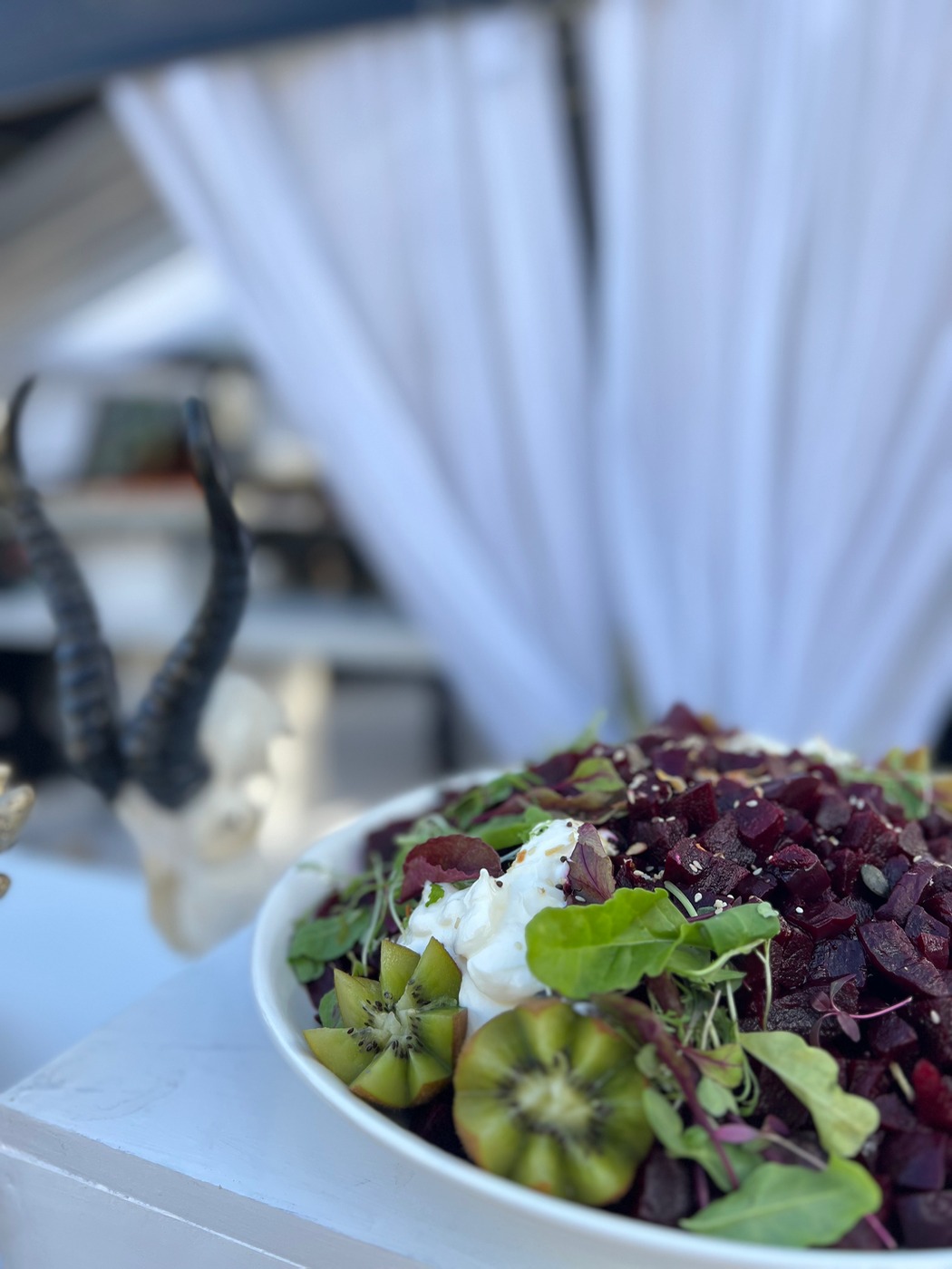 IMG_9244.jpeg IMG_9244.jpeg