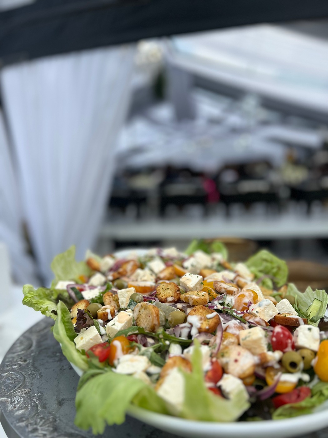 IMG_9235.jpeg IMG_9235.jpeg