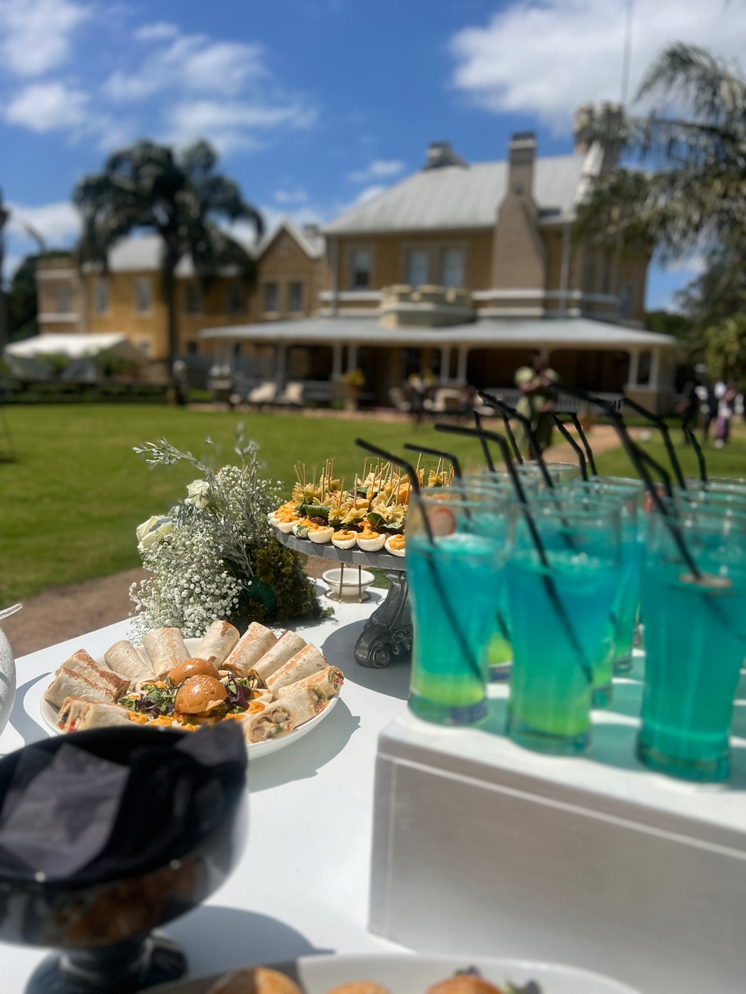 IMG_9203.jpeg IMG_9203.jpeg