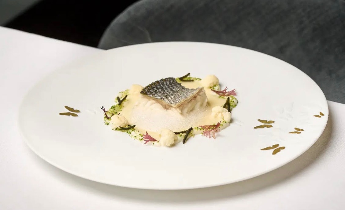 IMG_0735.jpeg IMG_0735.jpeg