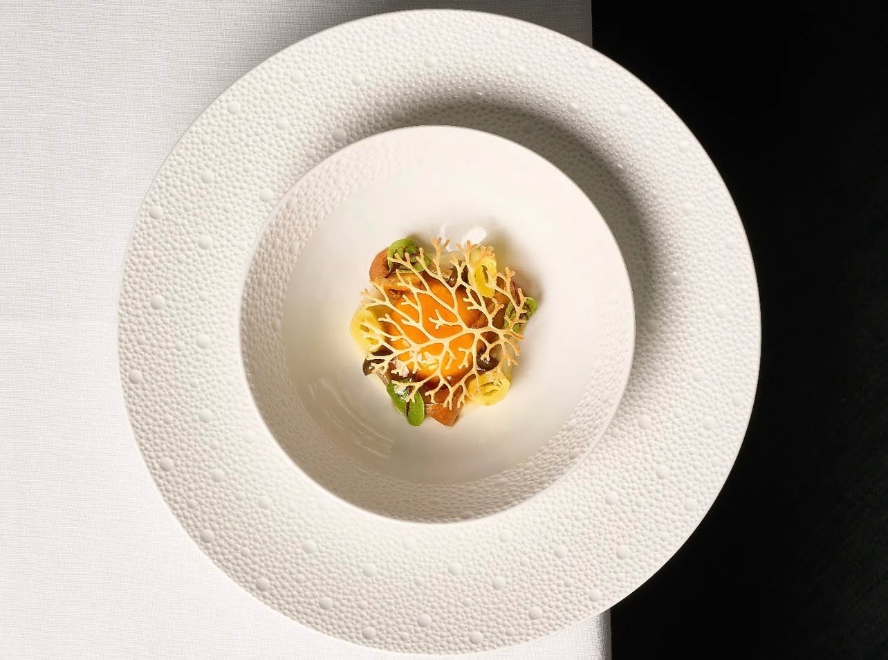 IMG_0736.jpeg IMG_0736.jpeg