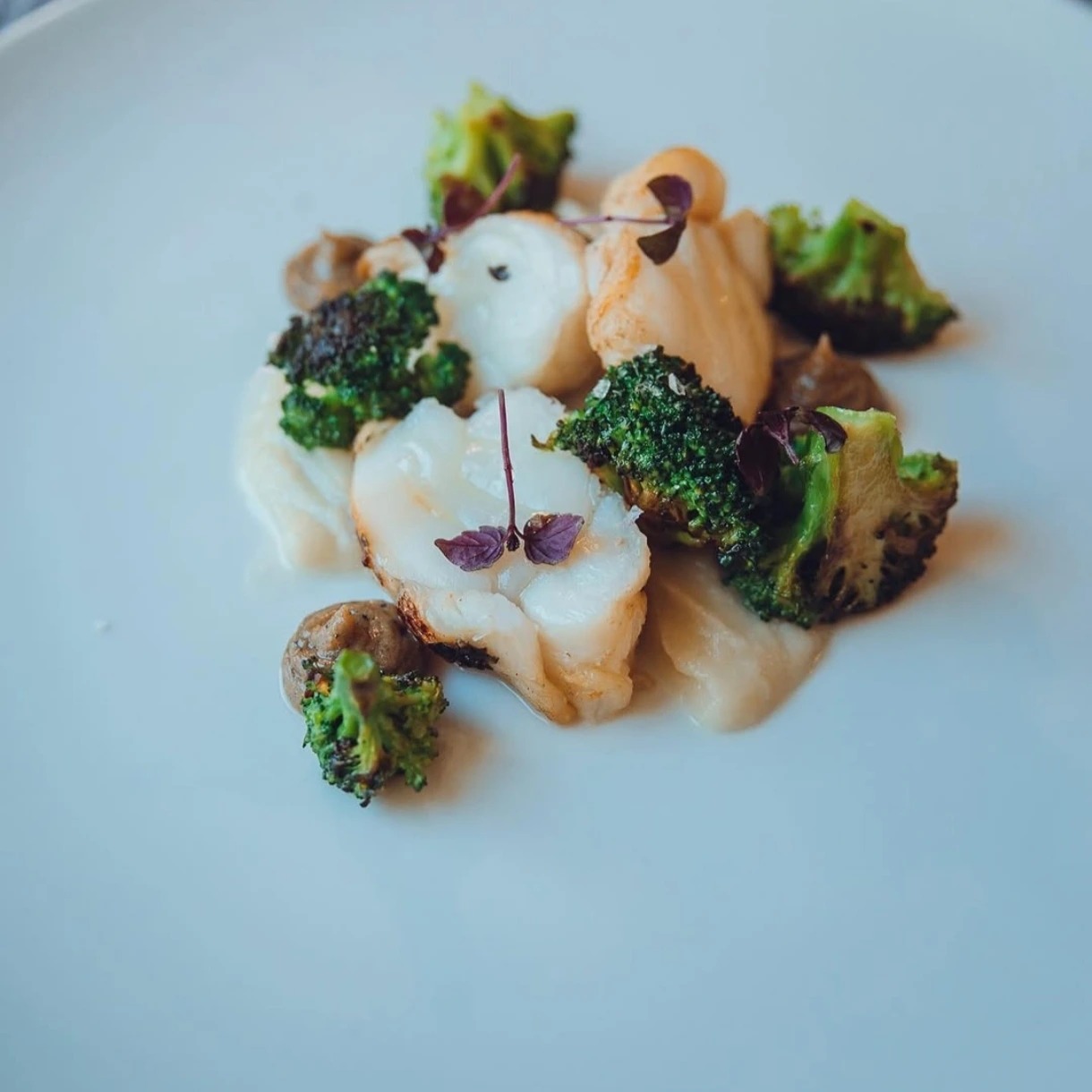 1000062481.jpg 1000062481.jpg