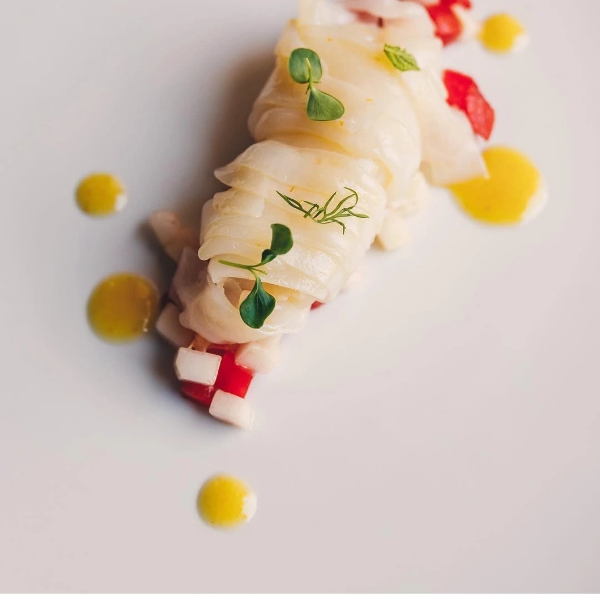 1000062479.jpg 1000062479.jpg