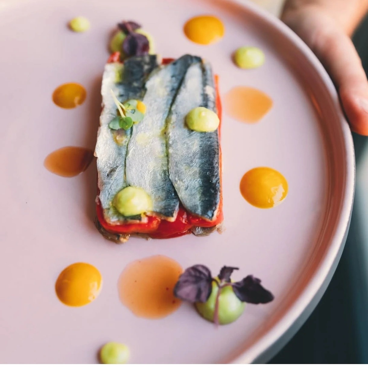 1000062478.jpg 1000062478.jpg