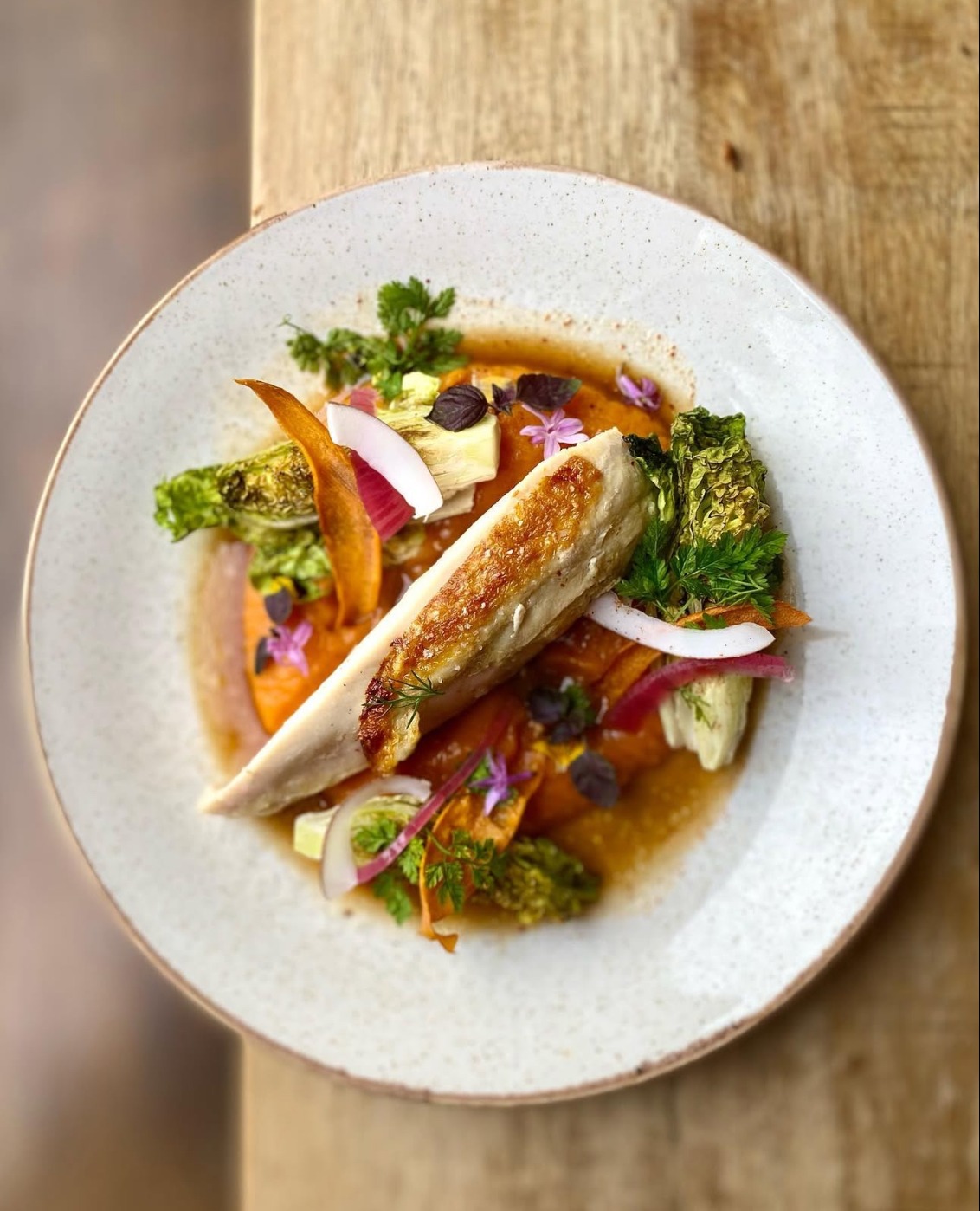 IMG_1563.jpeg IMG_1563.jpeg