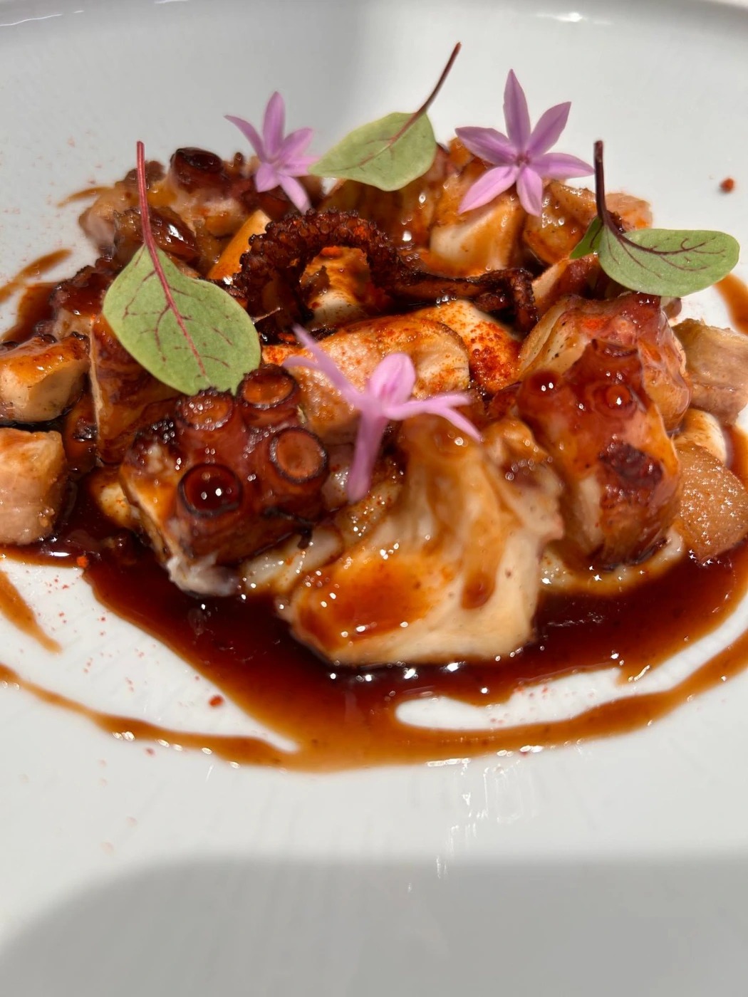 foto pulpo 2.jpeg foto pulpo 2.jpeg