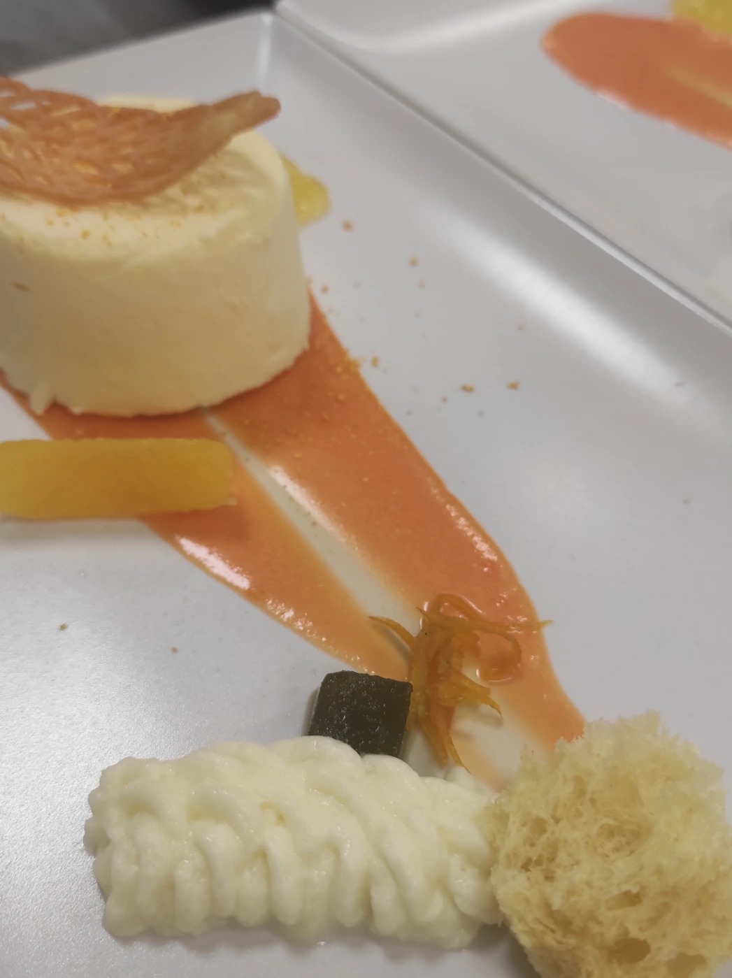 IMG_20241025_161408.jpg IMG_20241025_161408.jpg