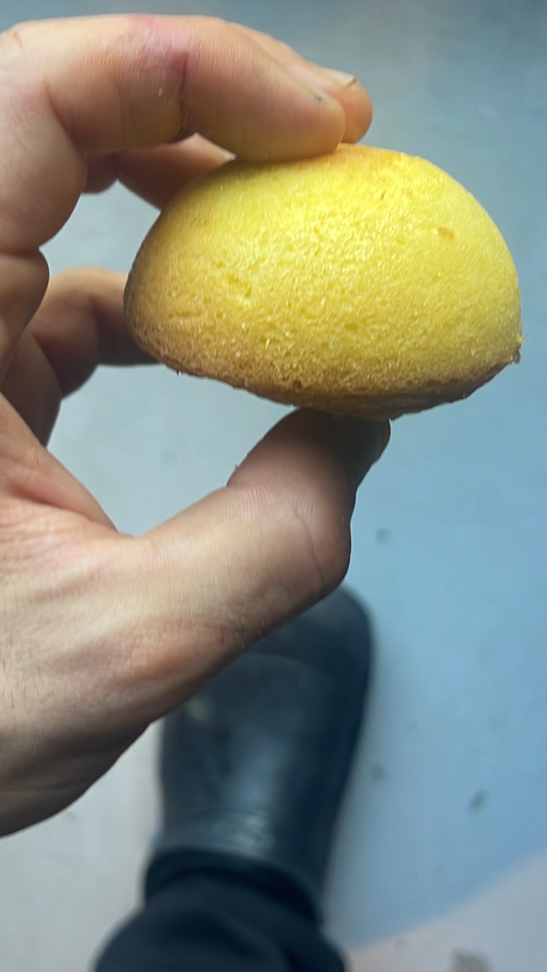 AB85439C-8355-4D31-8081-D68794FE1331.jpeg AB85439C-8355-4D31-8081-D68794FE1331.jpeg