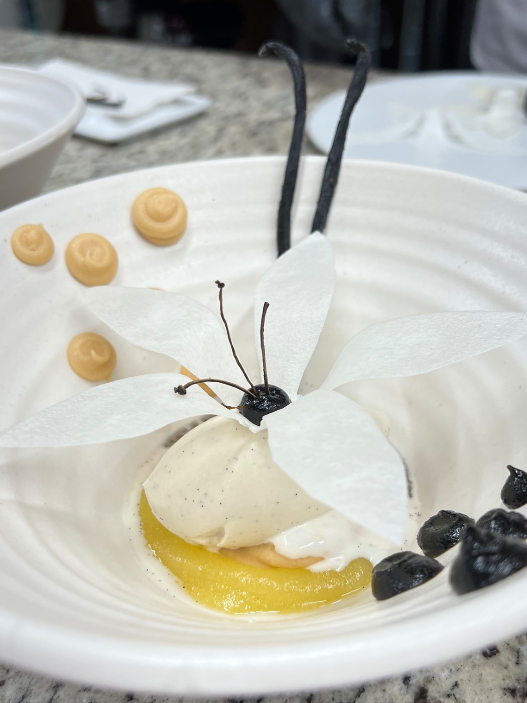 IMG_1218.jpeg IMG_1218.jpeg