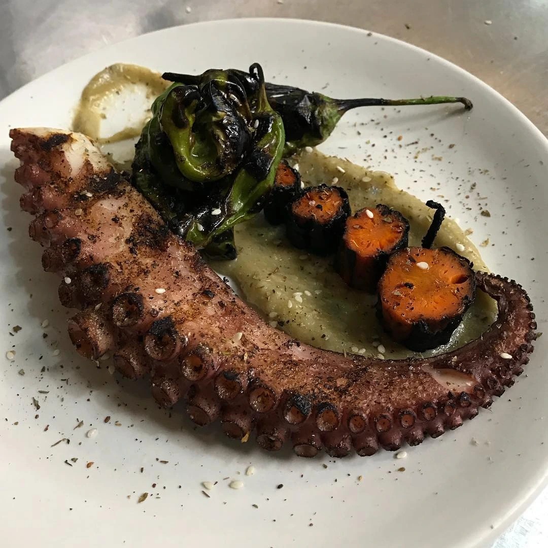 octopus.jpg