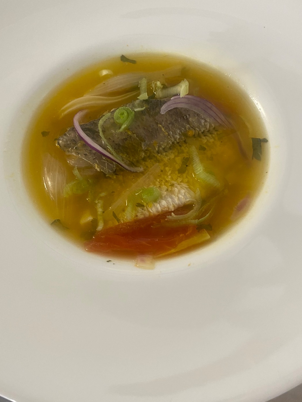 IMG_3041.jpeg IMG_3041.jpeg