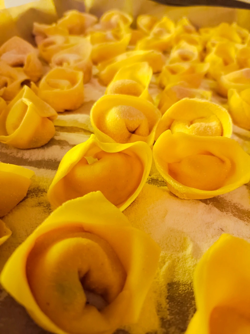 IMG_20240409_190720.jpg IMG_20240409_190720.jpg