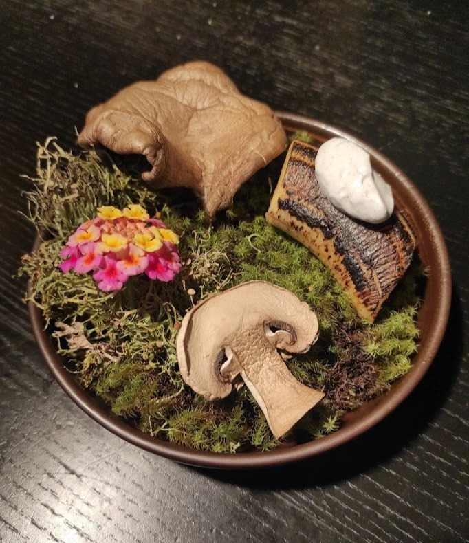 IMG_20250206_222404.jpg IMG_20250206_222404.jpg