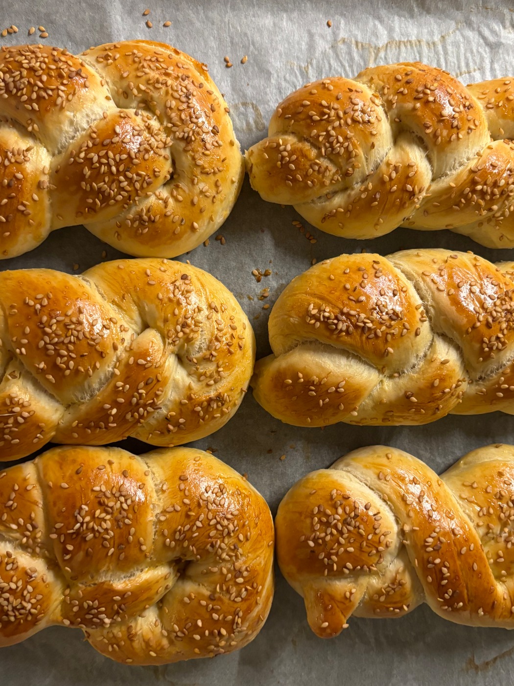 IMG_6700.jpeg IMG_6700.jpeg