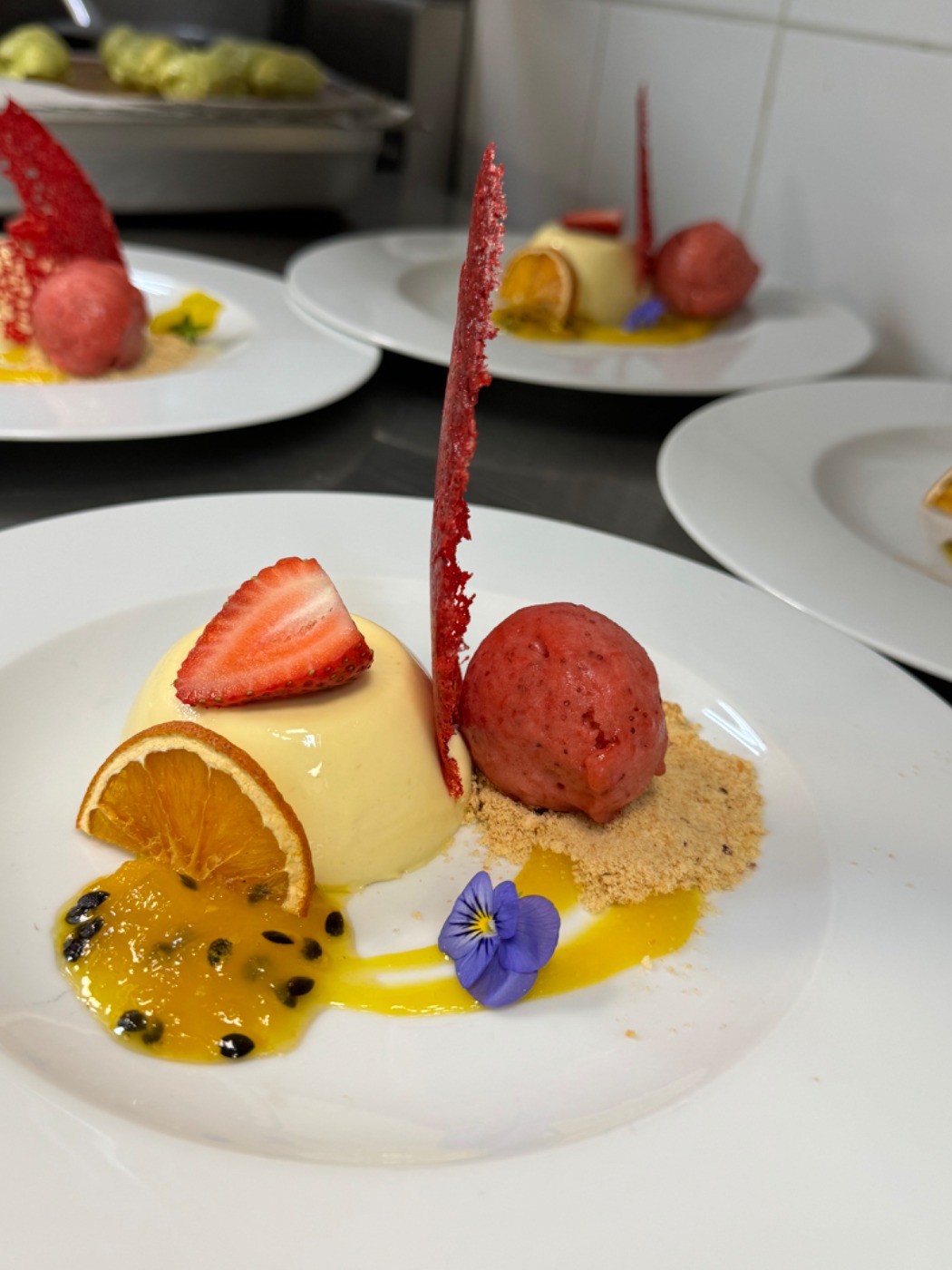 IMG_6781.jpeg IMG_6781.jpeg