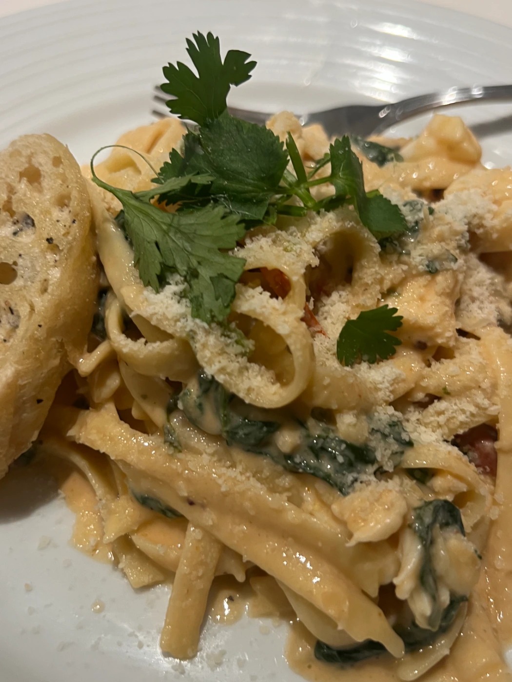 IMG_1423.jpeg IMG_1423.jpeg