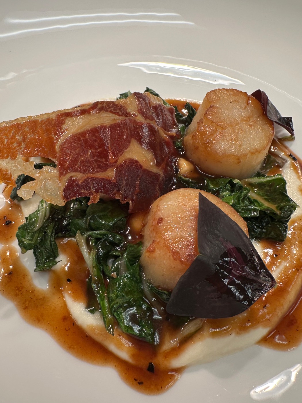 IMG_4258.jpeg IMG_4258.jpeg