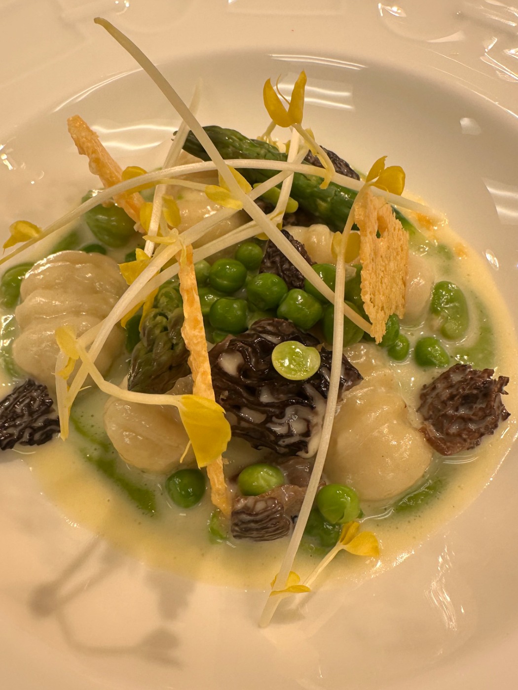 IMG_4256.jpeg IMG_4256.jpeg