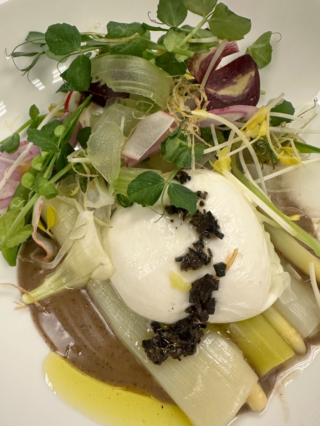 IMG_3537.jpeg IMG_3537.jpeg