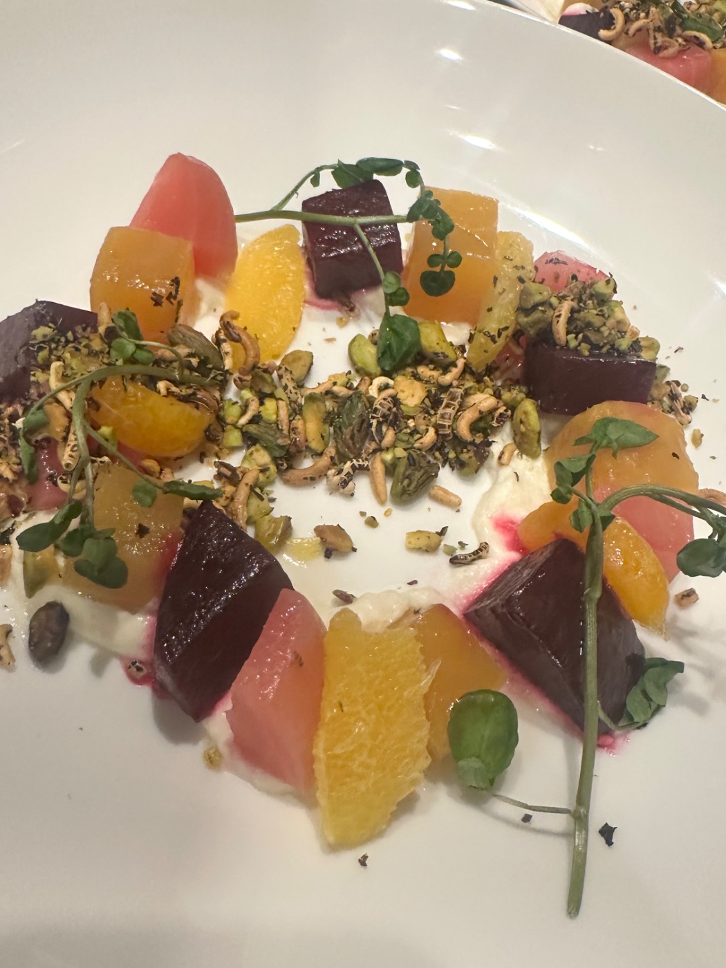 IMG_2765.jpeg IMG_2765.jpeg