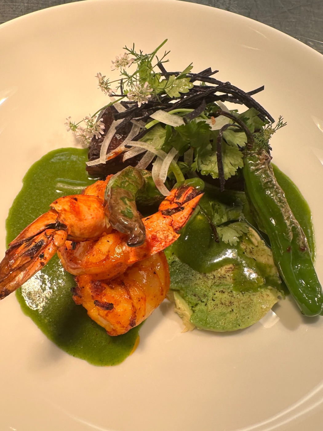 IMG_1976.jpeg IMG_1976.jpeg