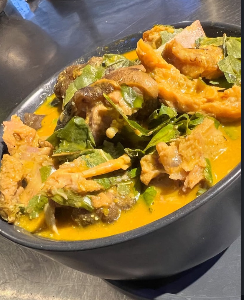 IMG_7586.jpeg IMG_7586.jpeg