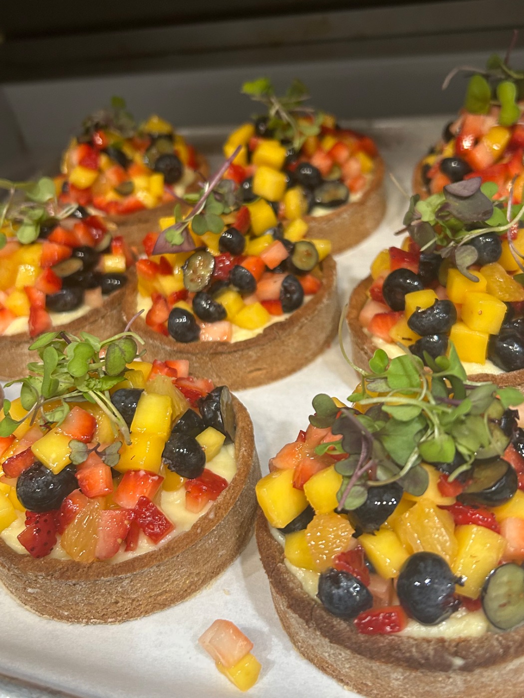 62EAF6D0-3F58-4B58-8FC8-4A9547FC40A4.jpeg 62EAF6D0-3F58-4B58-8FC8-4A9547FC40A4.jpeg