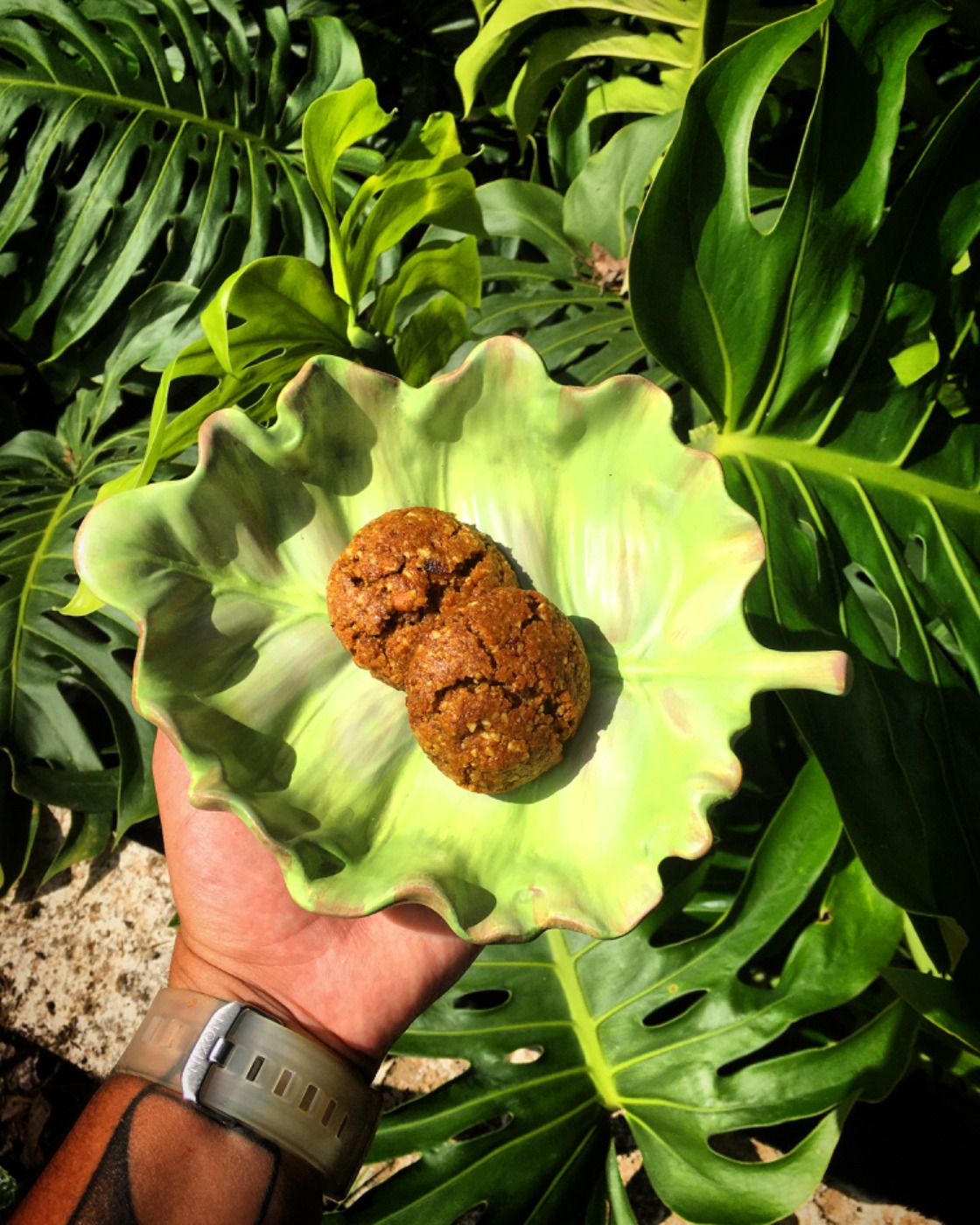 20201212_185037350_iOS 2.JPG 20201212_185037350_iOS 2.JPG