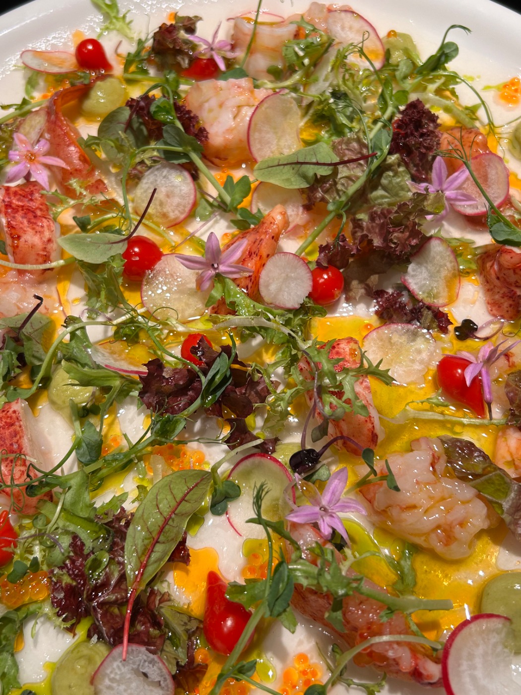 IMG_8350.jpeg IMG_8350.jpeg