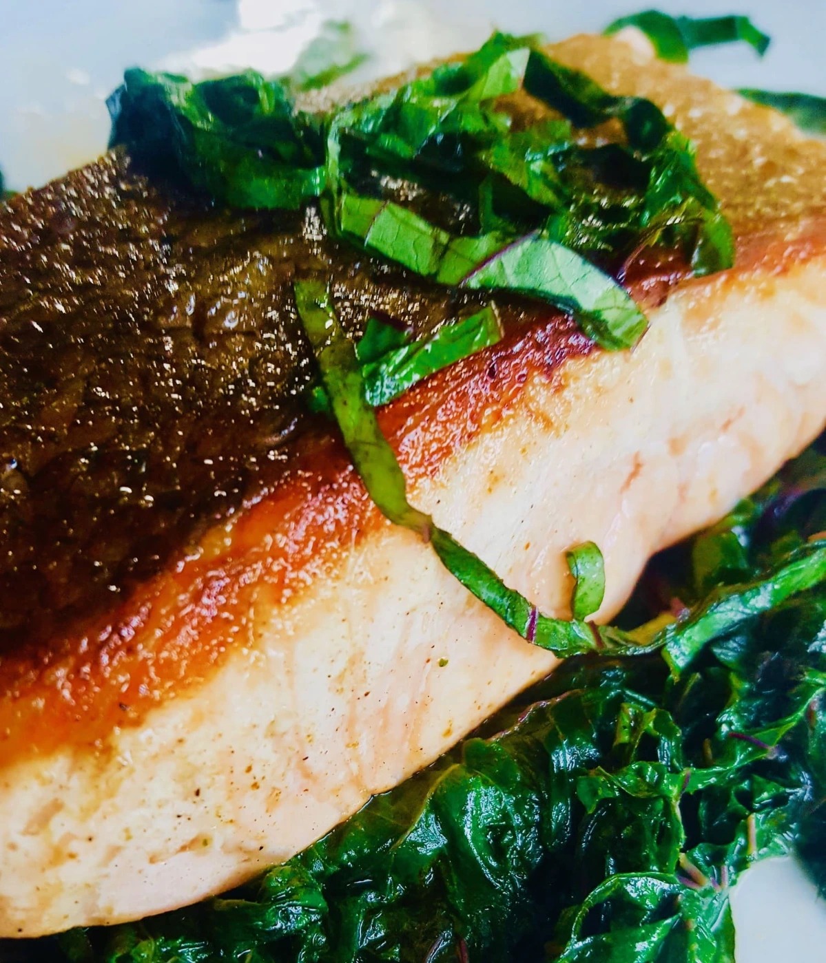 Gallery Bottom of Main Pic#8.jpeg