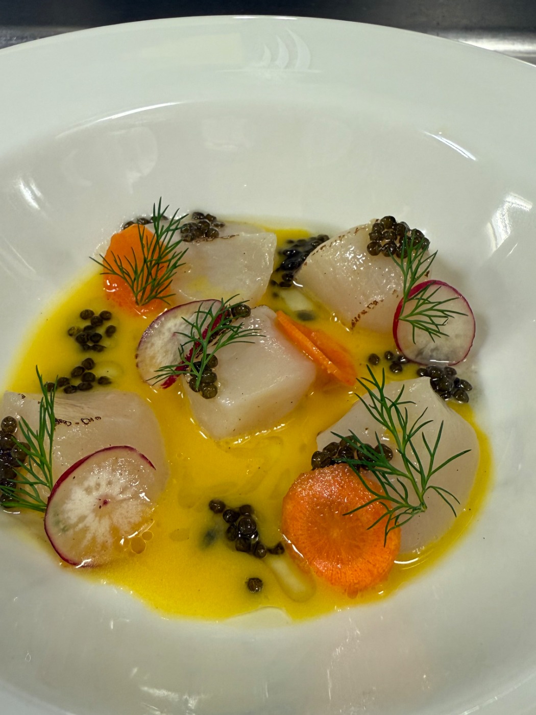 IMG_4126.jpeg IMG_4126.jpeg